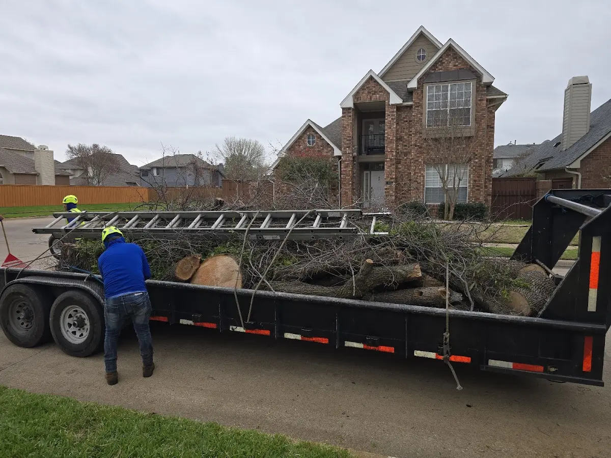 Expert Tree Fertilization with proper safety equipment in Wooton